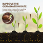 🔥Buy 2 Get 1 Free🔥Soil Improvement Loosening Agent