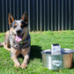 Automatic water sensor pet drinking machine for cats and dogs. Continuous circulating fresh water intelligent drinking machine.