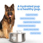 Automatic water sensor pet drinking machine for cats and dogs. Continuous circulating fresh water intelligent drinking machine.