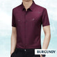 Men's Ice Silk Business Short-Sleeved Shirt