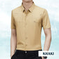 Men's Ice Silk Business Short-Sleeved Shirt