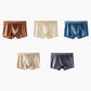 Men's Satin Ice Silk Briefs