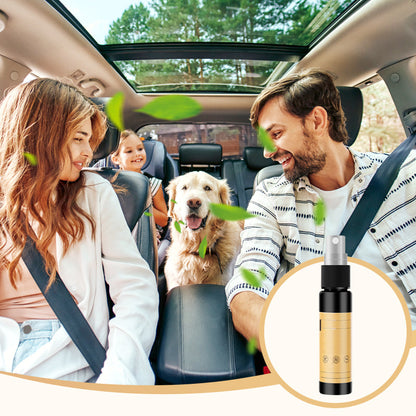Long Lasting Deodorizing Car Air Freshener Spray
