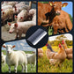 Handheld Livestock Hair Removal Tool