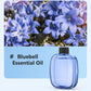 🎁Presentidé – Storsäljare med 59 % rabatt🌸Automatisk aromaterapidiffusor